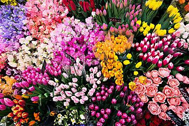 《哆啦A梦的铜锣烧店物语》Steam版正式发售 首发价68.4元