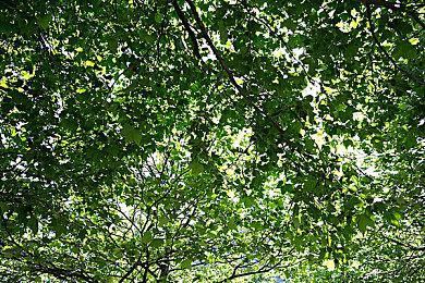 格斗游戏《漫威：超级争霸战》Steam页面 发售日待定