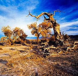 KRAFTON《金垦小镇》“夜市”主题更新 加入Steam夏日特卖